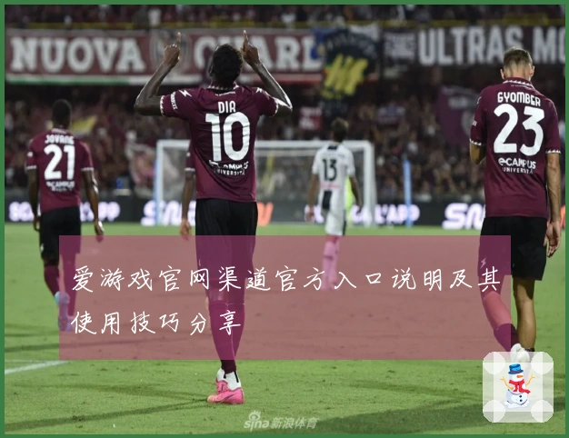 爱游戏官网渠道官方入口说明及其使用技巧分享
