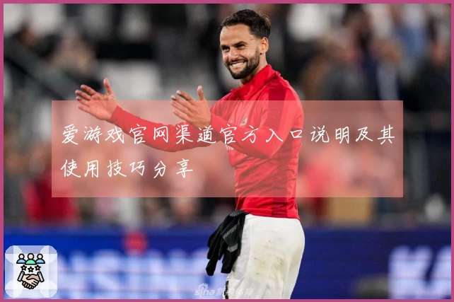 爱游戏官网渠道官方入口说明及其使用技巧分享